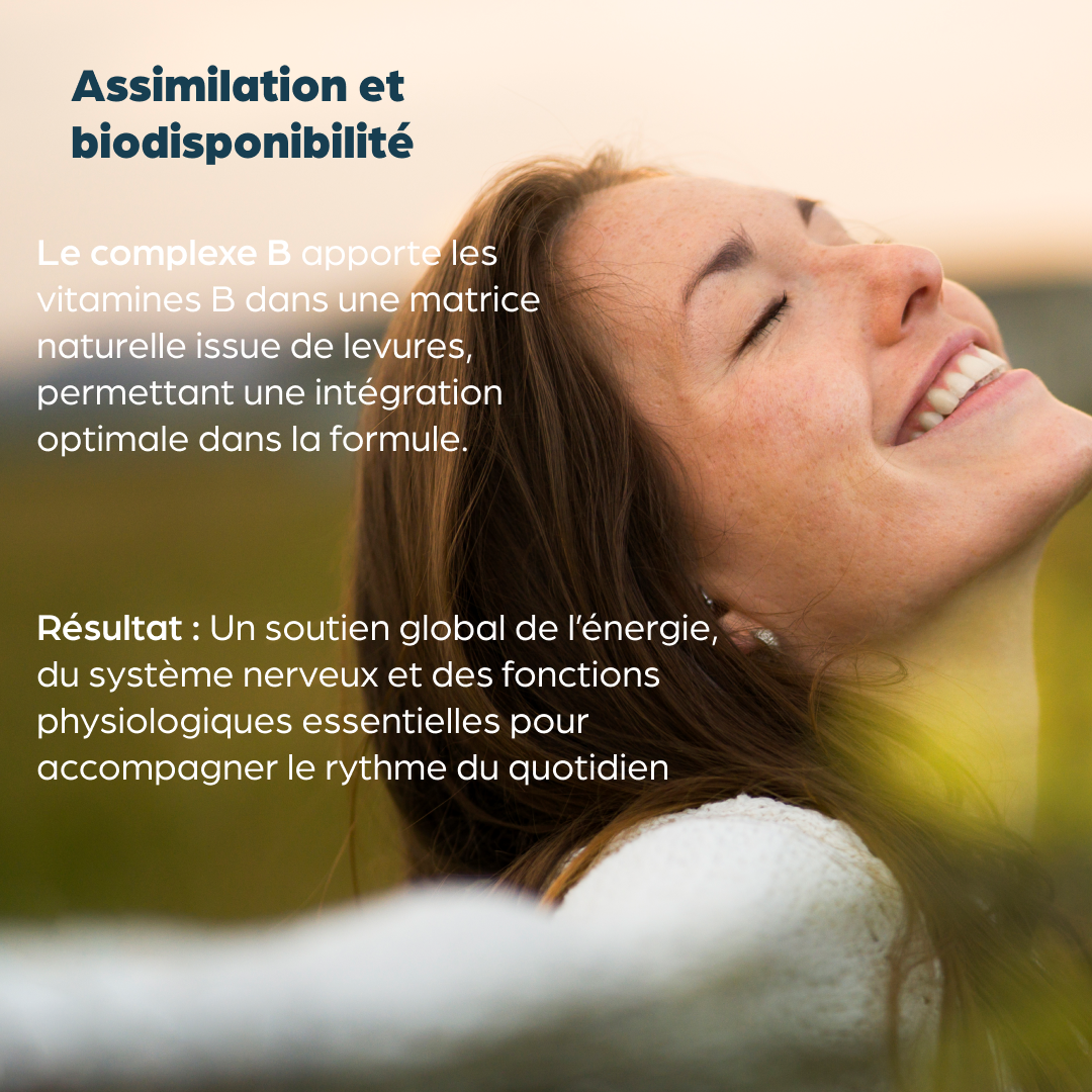 Complexe B