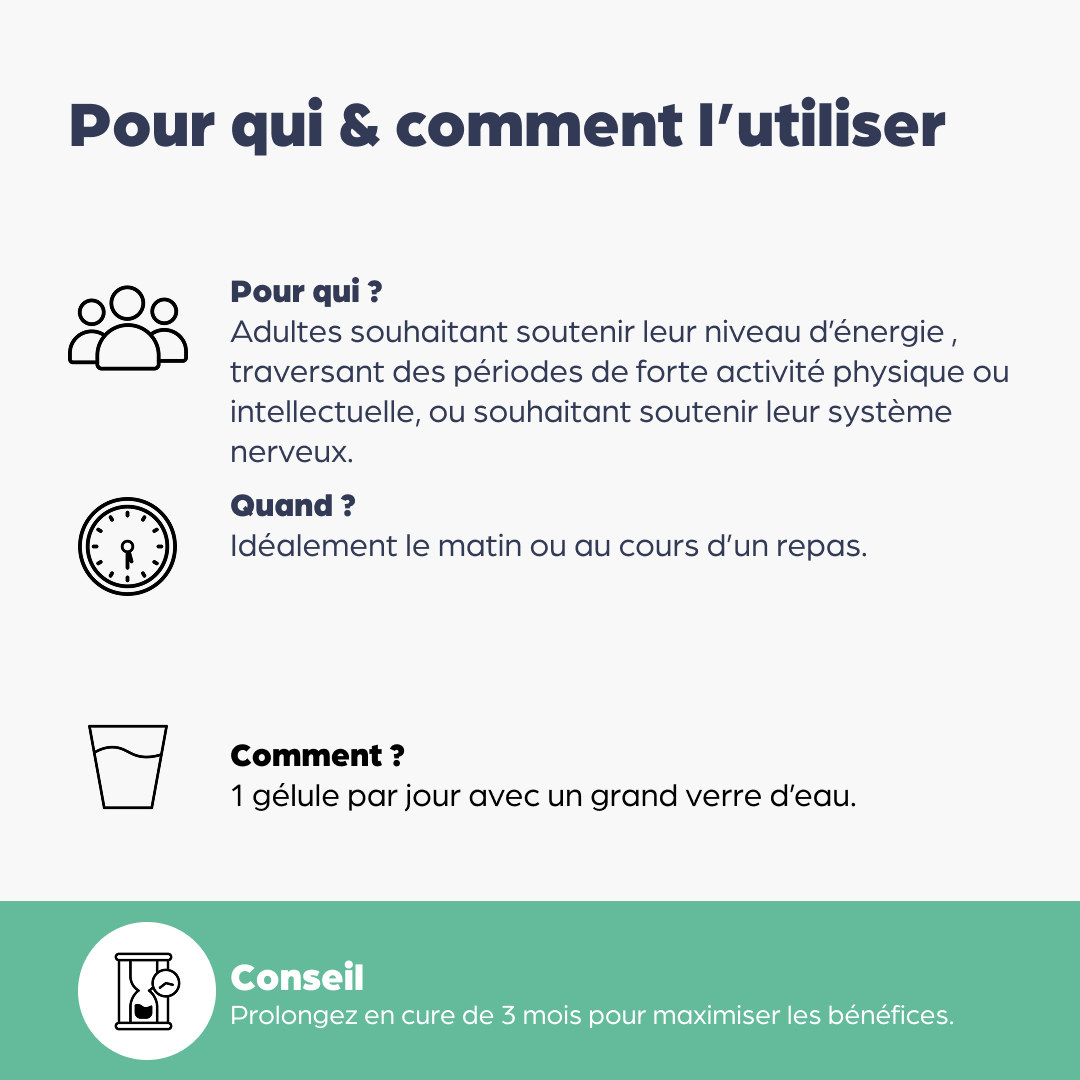 Complexe B
